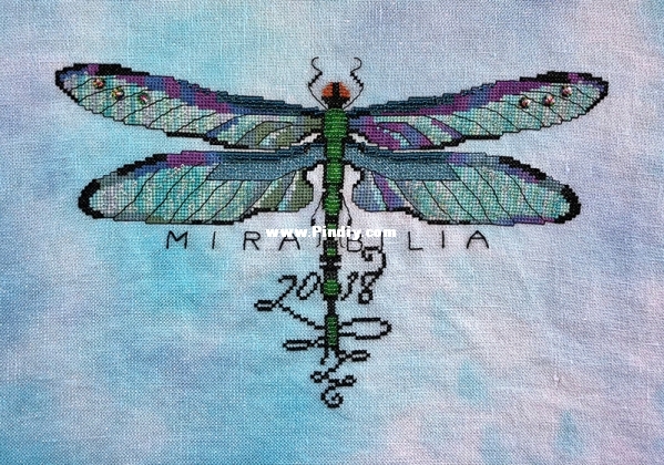 06-46-02-2018 Australian Mirabilia Retreat - Australian Dragon - Small.jpg