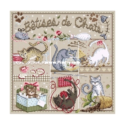 betises-de-chats-madame-la-fee.jpg