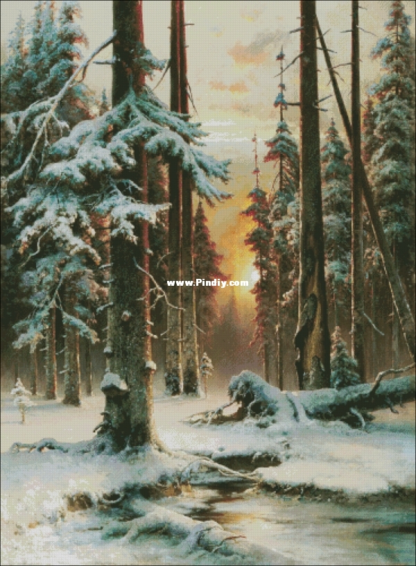 116 Зимний Закат в Еловом Лесу.jpg