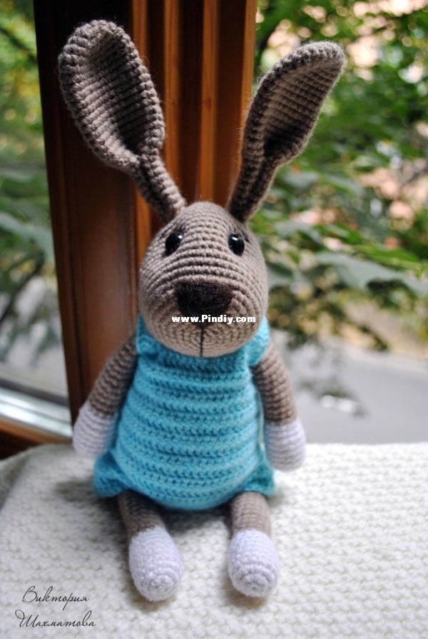 zajka-v-kombinezone-1520347038 (1).jpg