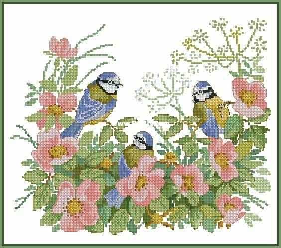 bluetits.jpg