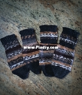 Dog_Socks_Title_Pic_small2.jpg