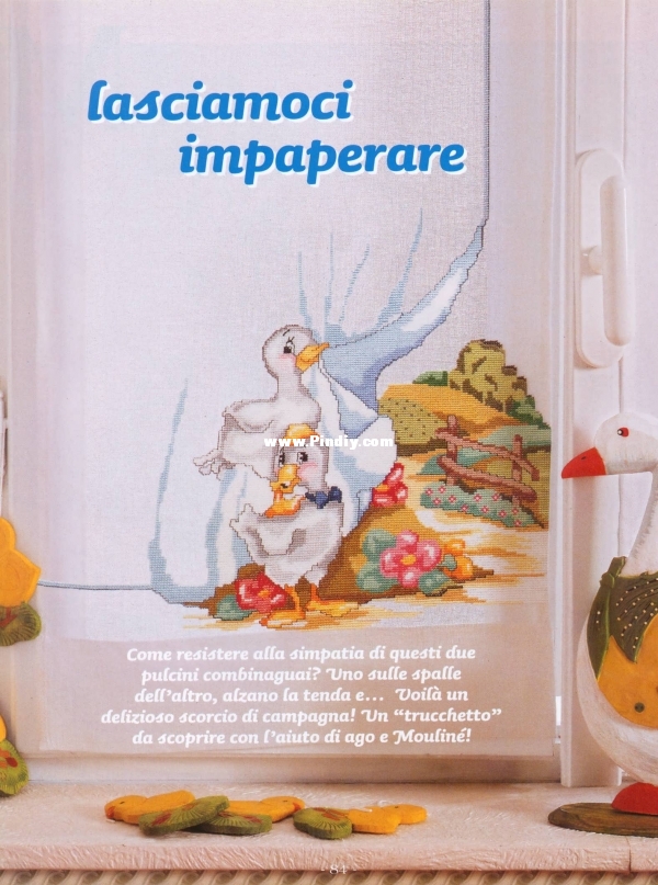 image (81).jpg