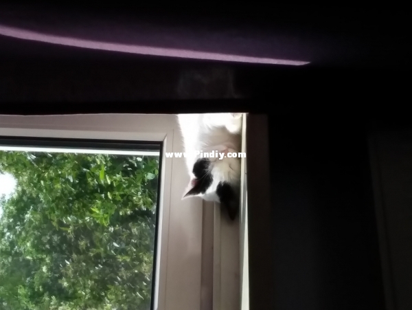 20180501_162043.jpg