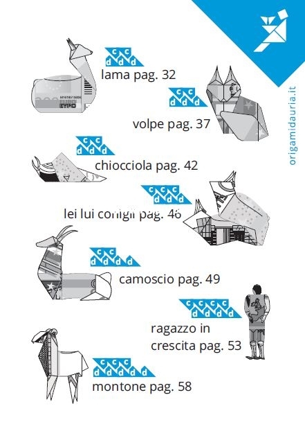 46.JPG