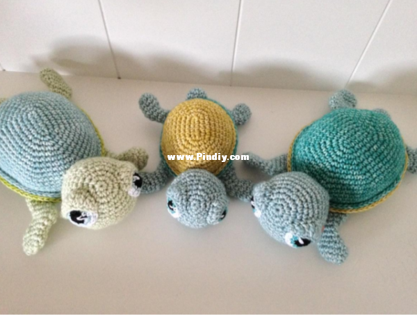 turtle Jookz