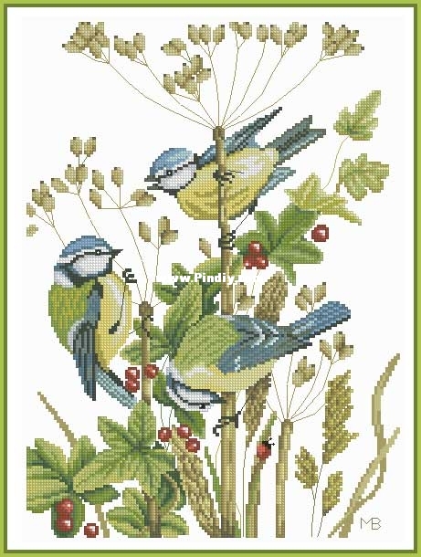 PN-0156945_Lanarte_MB_Bluetits_with_Red_Berries.jpg