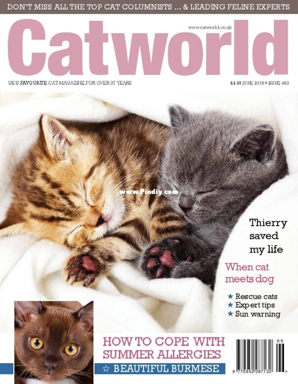 Cat World-June 2018.jpg