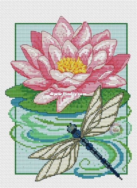 Lesley Teare - Waterlily and dragonfly