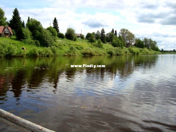 y_fecda38a.jpg