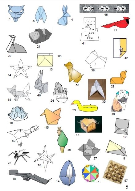 71.JPG