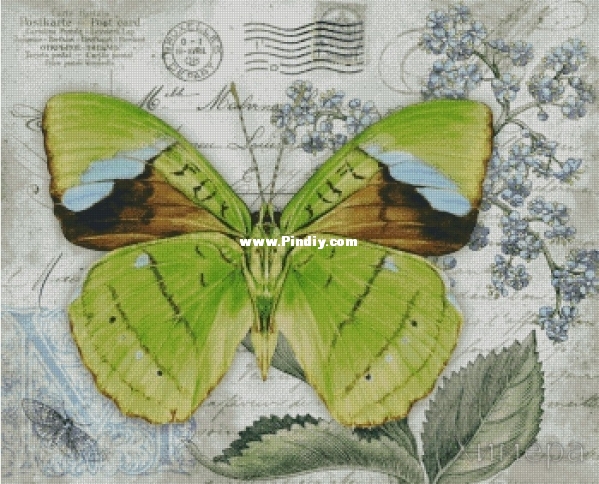 Butterfly Vintage.jpg