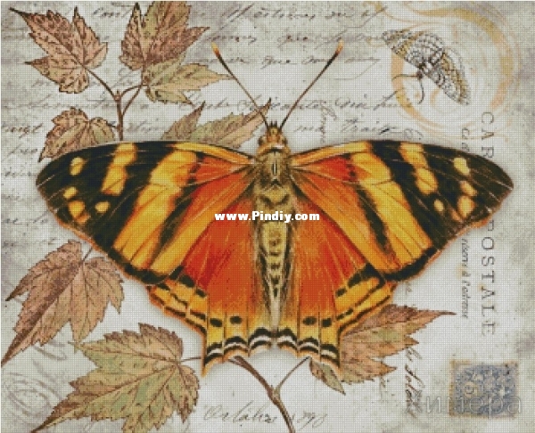 Butterfly Vintage5.jpg