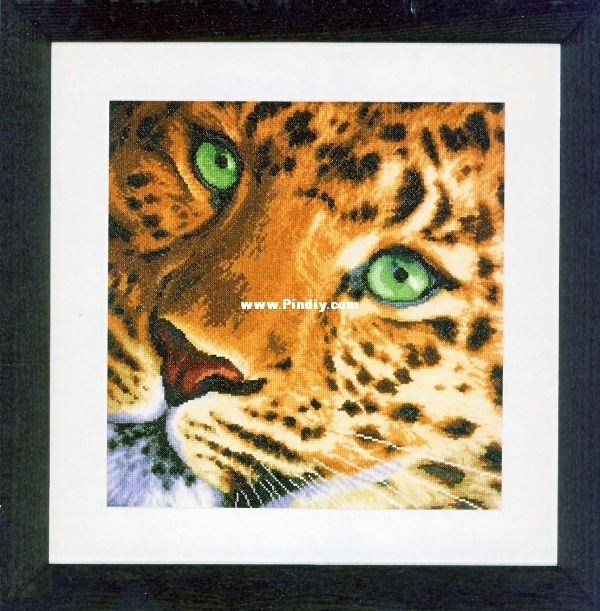 Leopard.jpg