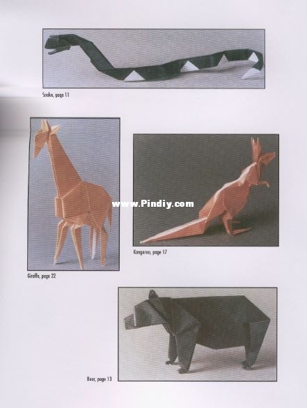 144.JPG