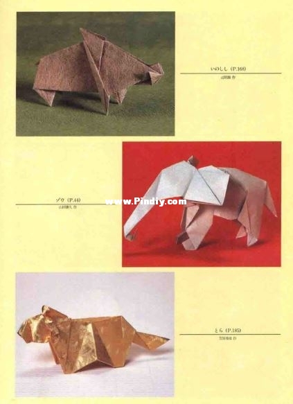185.JPG