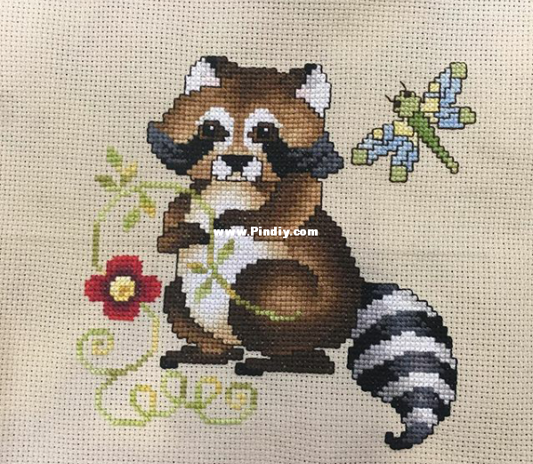 RACCOON