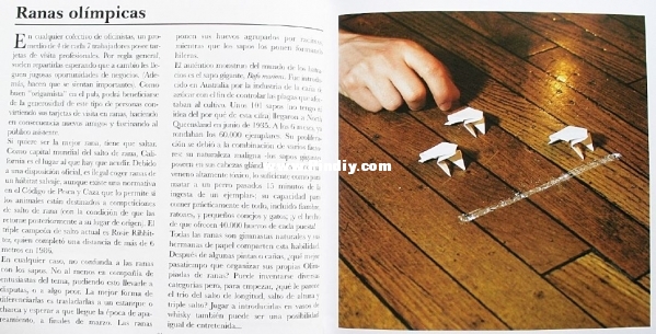 269.JPG