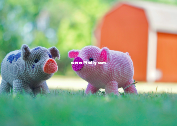 pig1.png