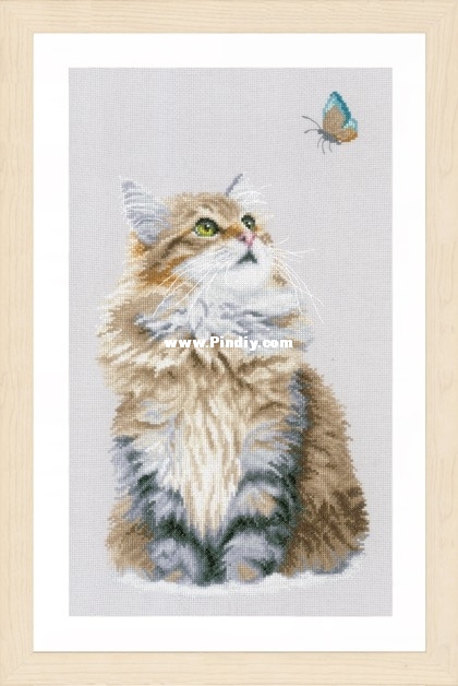 forest-cat-lanarte-pn-0171041.jpg