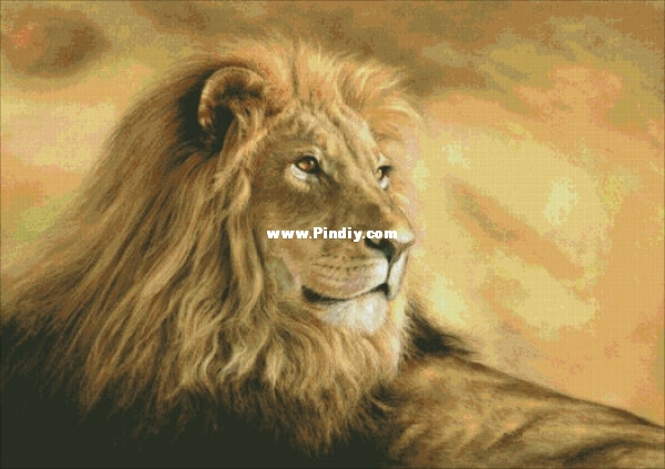 Panthera Leo Lion.jpg