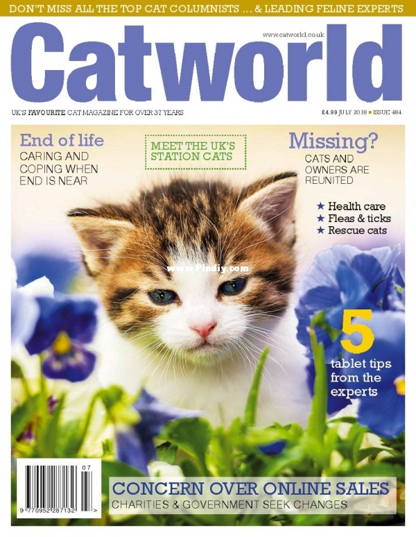 Cat World - July 2018.jpg