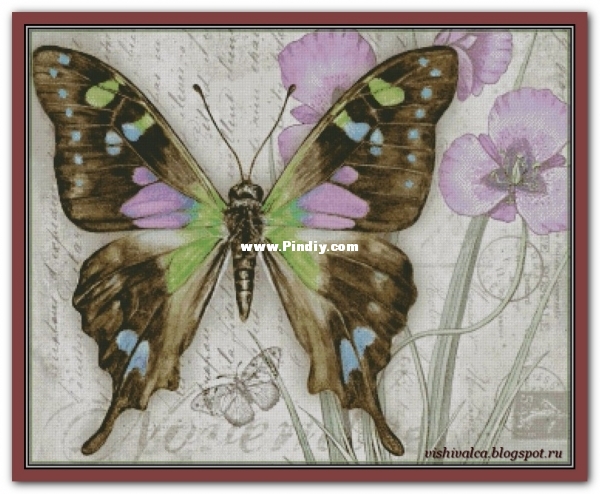 Butterfly Vintage 11 (1).jpg