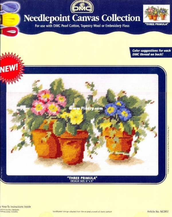 Primula.jpg