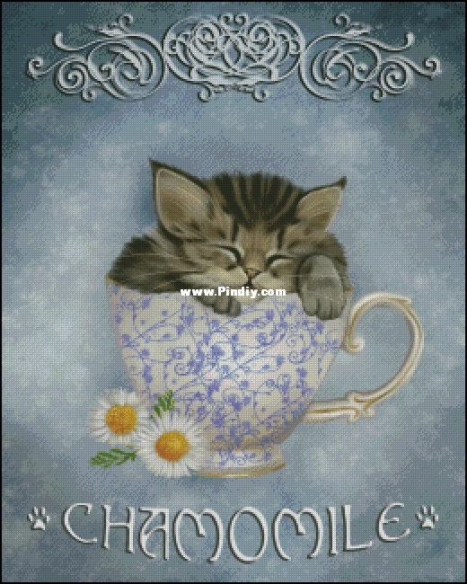 Mini Chamomile Tea.jpg