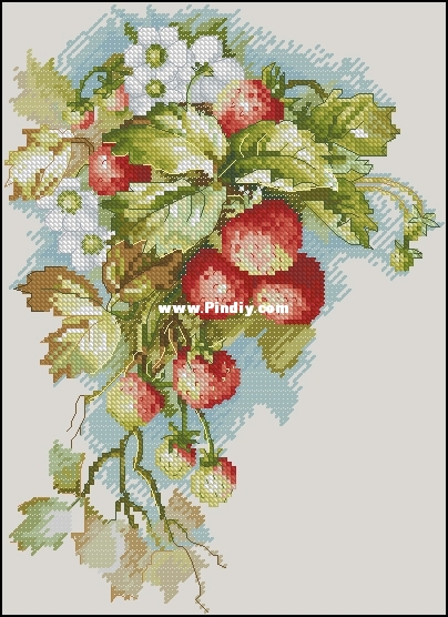 Alisa Okneas - Strawberries.jpg