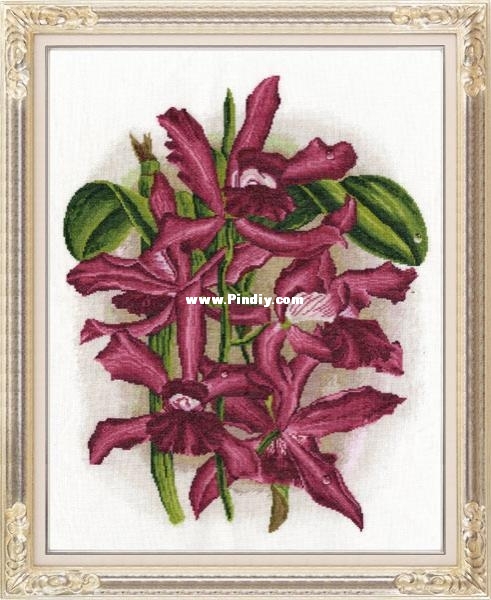 Zolotoe Runo ZR TSK-015 OK Velvet Shine.jpg