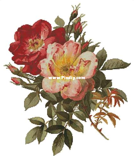 two roses.png