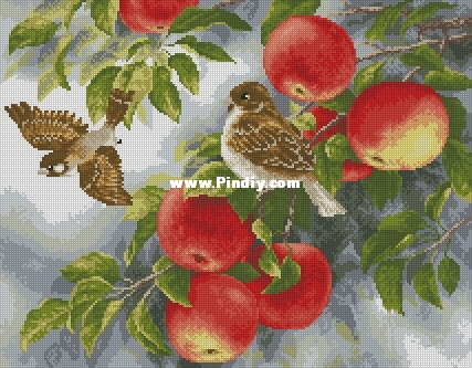 Zolotoe Runo RS-015 Sparrows XXX.JPG