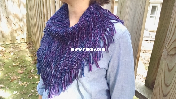 purp_cowl_medium2.jpg