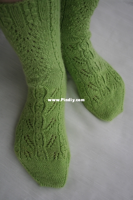 Galileo Socks1.JPG