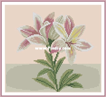 35095_Lanarte_Pink_white_Lily.jpg