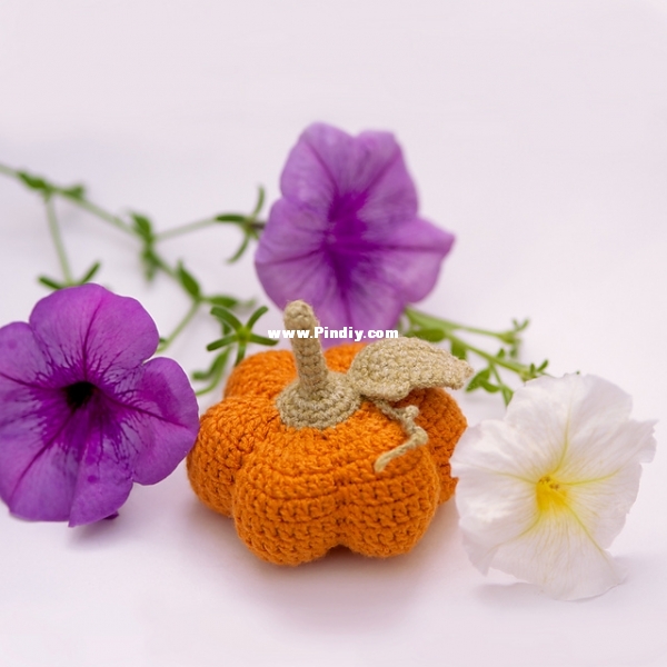 pumpkin_1_medium2.jpg