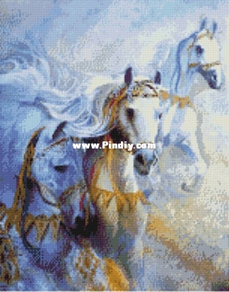 KK 99903 OK Arabian Jewels.jpg