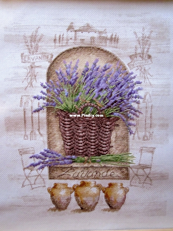 Dim 35071  French Lavende6.jpg