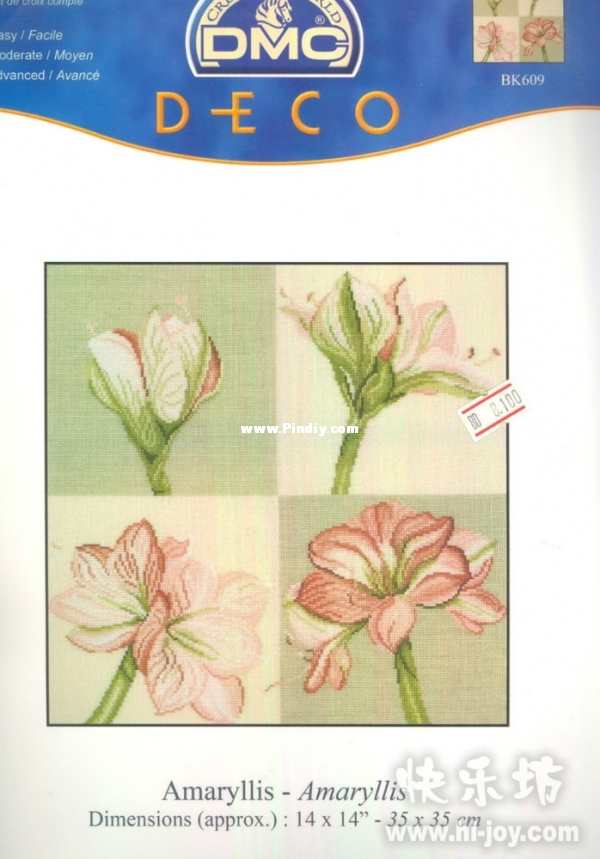 DMC BK609 Amaryllis.jpg