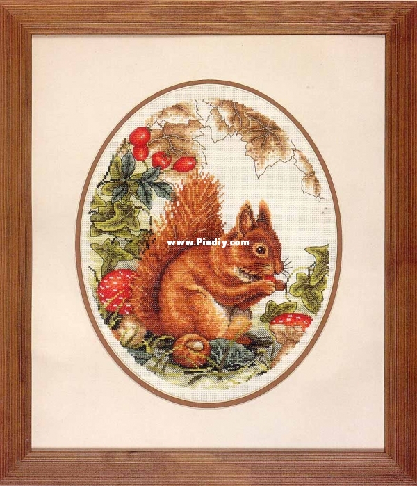 0 PCE 827 Squirrel - PCE827 - Anchor.jpg