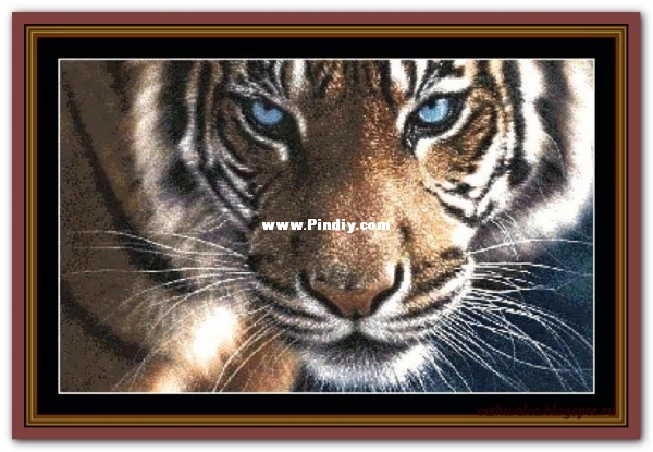 Witchykitt Designs - Tiger.jpg