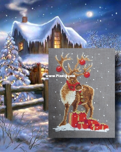rudolf-1005.jpg