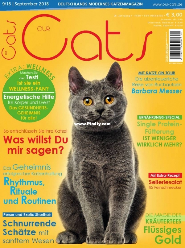 Our Cats - September 2018.jpg