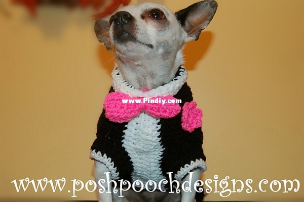 Tuxedo Dog Sweater by Sara Sach.JPG