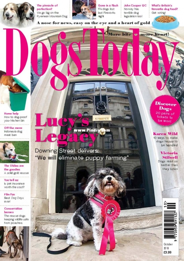 Dogs Today UK - October 2018.jpg