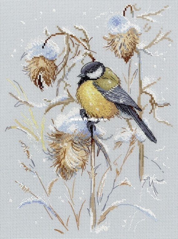 MP-Studio HB-671_Snowy Season Titmouse Bird.jpg