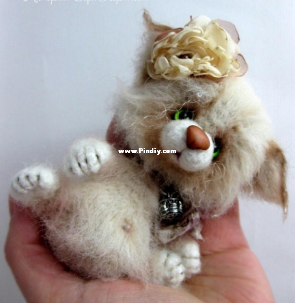 KITTEN .jpg