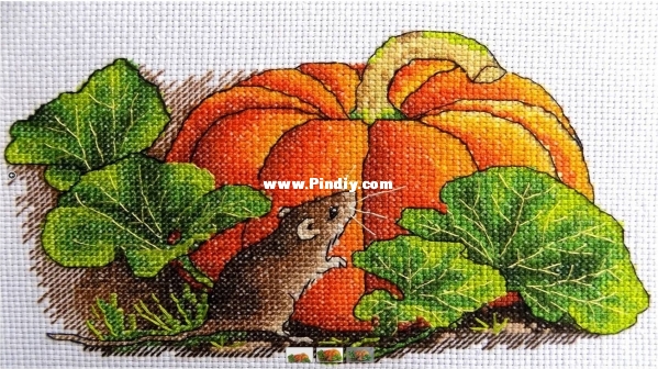 Serafima_Abramova_Pumpkin Mouse.jpg