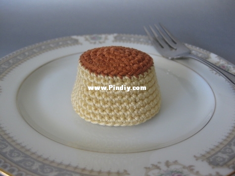 normalynn hood - copacetic crocheter - flan.jpg